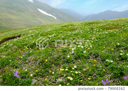 Tairapyoyama in early summer Tairapyoyama in early summer 79008162