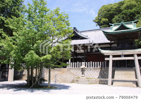 北九州市文治區八s八丈 北九州市文治區八s八丈 79008479