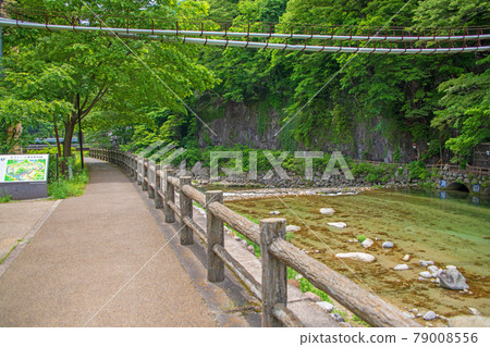 川治親合公園附近的小鹿川、散步道周圍的風景、川治溫泉、日光市、 79008556