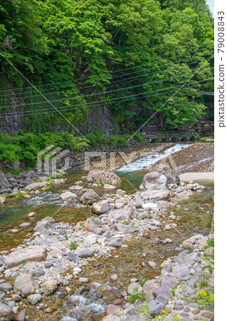川治親合公園附近的小鹿川、散步道周圍的風景、川治溫泉、日光市、 川治親合公園附近的小鹿川、散步道周圍的風景、川治溫泉、日光市、 79008843