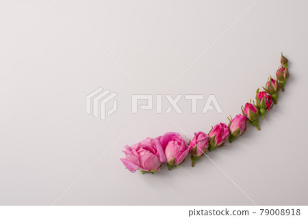 the concept of change and growth. copyspace 79008918