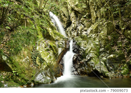 Narumi Waterfall in Yokokawa, Hagi City (upper waterfall) Narumi Waterfall in Yokokawa, Hagi City (upper waterfall) 79009073