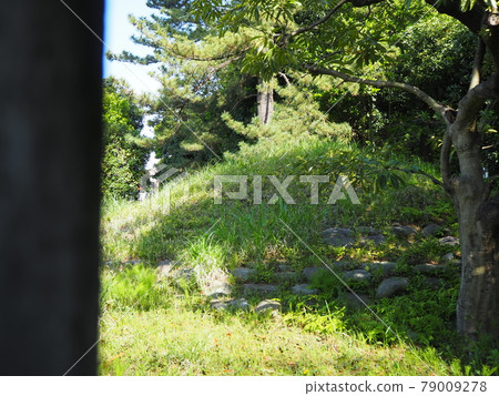 Igusa Fujizuka 79009278