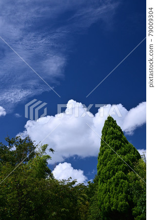Cumulonimbus clouds and cumulonimbus clouds in summer Cumulonimbus clouds and cumulonimbus clouds in summer 79009304