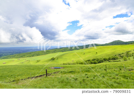 清爽的十勝內台高原農場 79009831