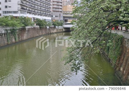 Gotanda Meguro River 79009846