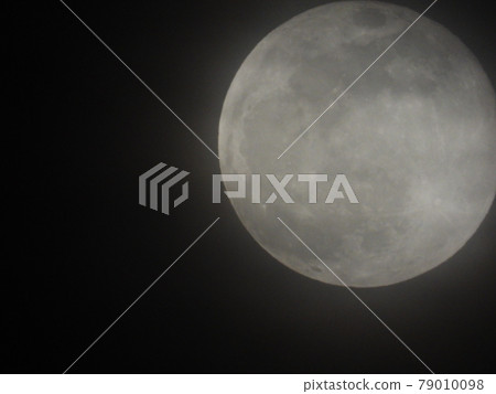 Moon Moon 79010098