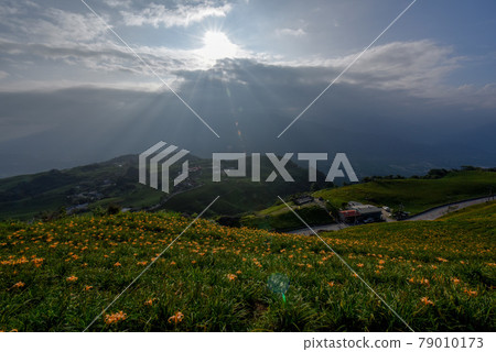 曬太陽山頂曝光,光照射原位色金針花,雲仙照射輻照得到。 曬太陽山頂曝光,光照射原位色金針花,雲仙照射輻照得到。 79010173