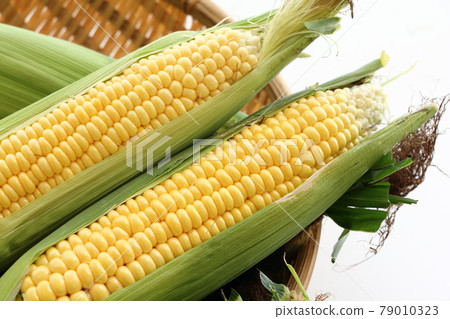 Freshly ground corn Freshly ground corn 79010323