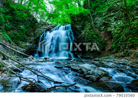 Asama Falls 79010560