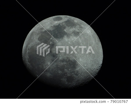 月 月 79010767
