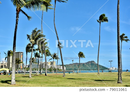 夏威夷的假期 夏威夷的假期 79011061