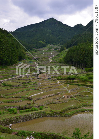 Yotsuya's thousand sheets 79011587