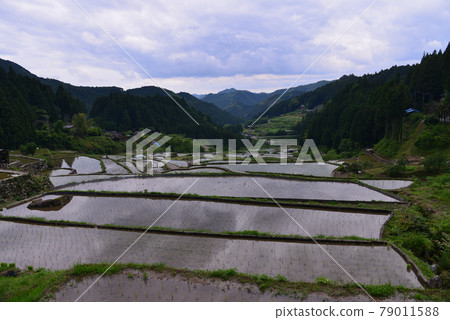 Yotsuya's thousand sheets 79011588