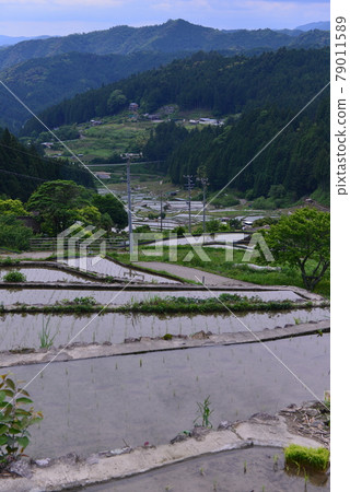 Yotsuya's thousand sheets 79011589