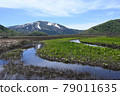 Superb view of Mt. Shibutsu with skunk cabbage and residual snow 79011635