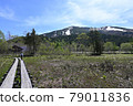 Mt. Shibutsu on the wooden path leading to the nose of the mountain 79011836