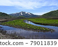 Mt. Shibutsu with skunk cabbage in the foreground 79011839