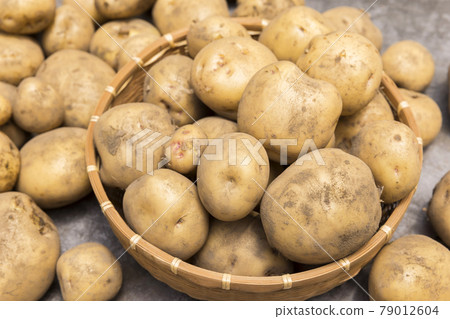 Potato harvest image Kita Akari 79012604
