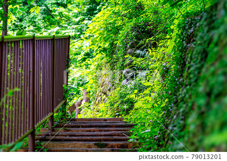 [Eco image] A promenade full of negative ions 79013201