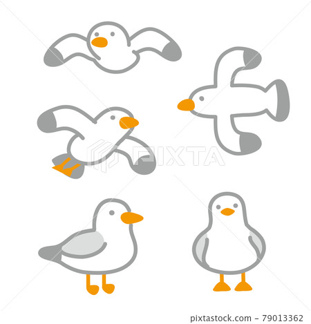 Seagull Illustration Set - Stock Illustration [79013362] - Pixta