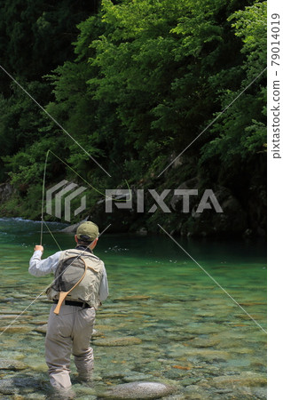 Fly fishing in the Hokuriku valley in early summer 79014019