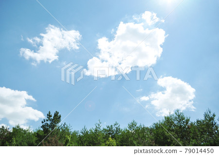 Sky Sky 79014450