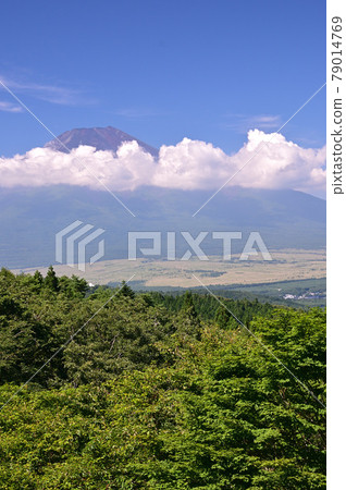 Oshino Village, Yamanashi Prefecture in summer Oshino Village, Yamanashi Prefecture in summer 79014769