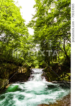 Fushin stall waterfall Fushin stall waterfall 79014985