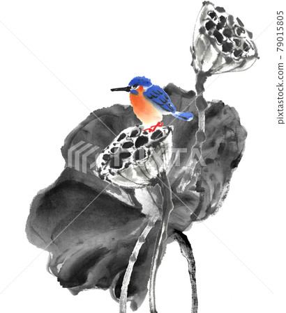 水墨畫法繪製的枯蓮和翠鳥 水墨畫法繪製的枯蓮和翠鳥 79015805