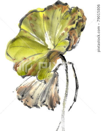 水墨畫的枯荷葉 水墨畫的枯荷葉 79015806