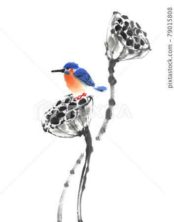 Withered lotus seeds and kingfishers drawn by ink painting technique 79015808