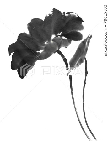 水墨畫法繪製荷葉 79015833