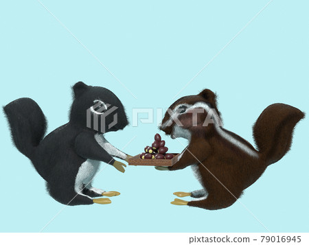 Squirrel and acorn and savings Squirrel and acorn and savings 79016945