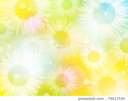 【夏日素材】閃閃發光的向日葵背景花瓣 79017544