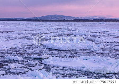 Drift ice and mountains Drift ice and mountains 79017551
