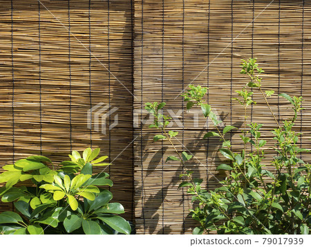 Abandonment 79017939