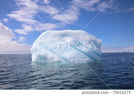 南極半島周圍的冰山 79018275