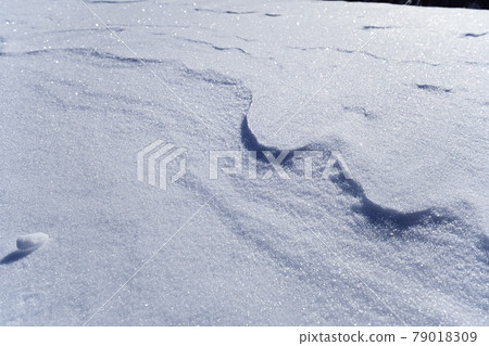 冬季在高山的雪面上看到的波峰 79018309