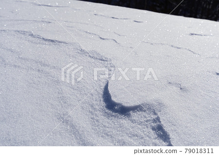 冬季在高山的雪面上看到的波峰 冬季在高山的雪面上看到的波峰 79018311