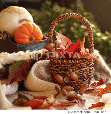 Halloween autumn leaves hunting * Square composition 79018548