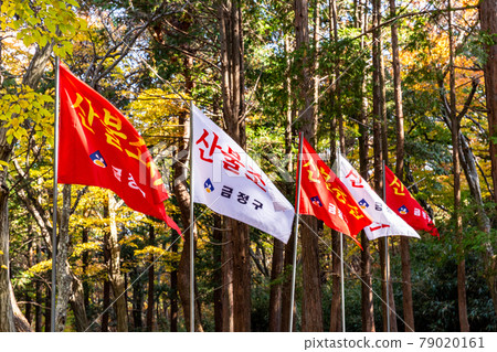 Fluttering Korean flag 79020161