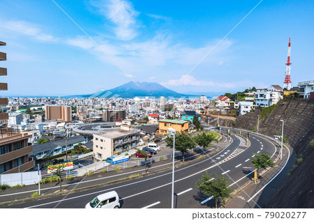 從鹿兒島市 Murasakibaru 山上看到的櫻島和鹿兒島城市景觀 從鹿兒島市 Murasakibaru 山上看到的櫻島和鹿兒島城市景觀 79020277