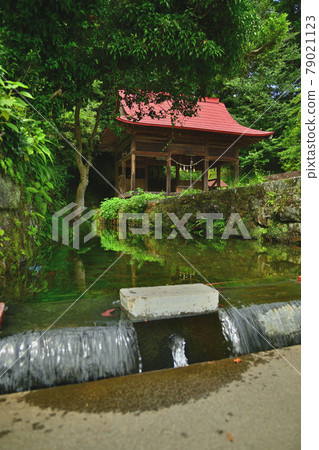 Oshino spring spring 79021123