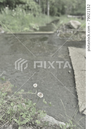 Oshino spring spring Oshino spring spring 79021152