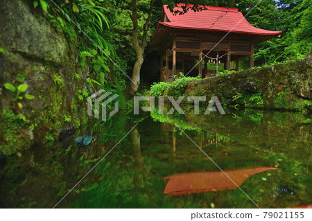 Oshino spring spring Oshino spring spring 79021155