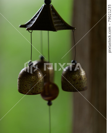 In the precincts of Nyoirinji Temple 79021235