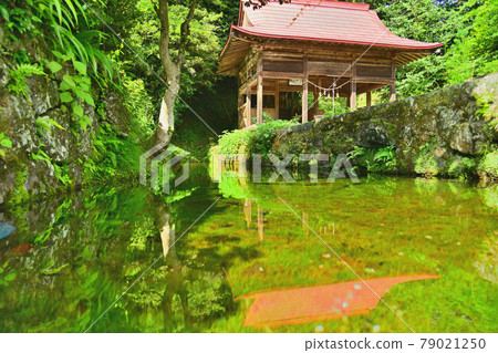 Oshino spring spring Oshino spring spring 79021250