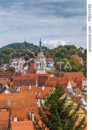 view of Tubingen, Germany view of Tubingen, Germany 79021448