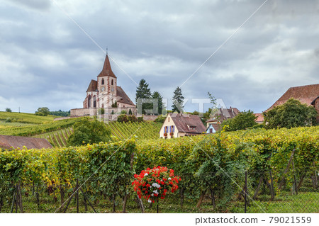 Fortified Church in Hunawihr, Alsace, France Fortified Church in Hunawihr, Alsace, France 79021559